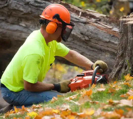 tree services Blair